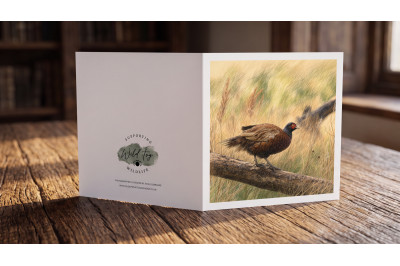 Pheasant Greeting Card